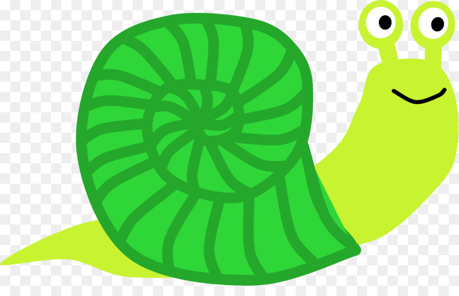 Caracol，Caracol De Mar PNG