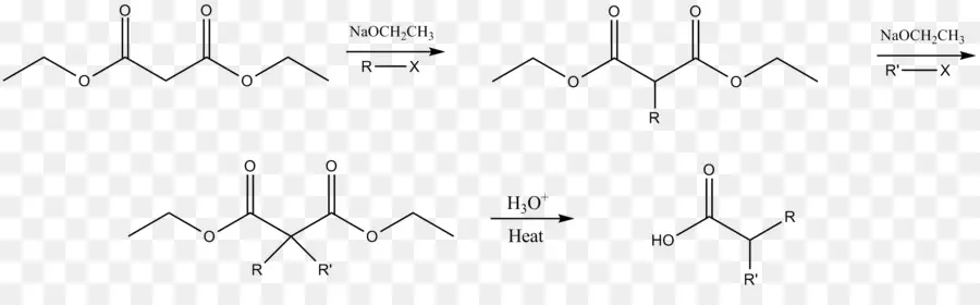 Síntesis De éster Malónico，La Síntesis Química PNG