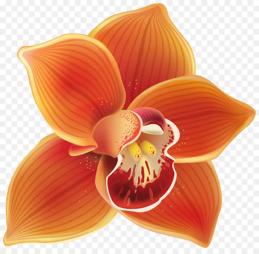 Las Orquídeas，Naranja PNG