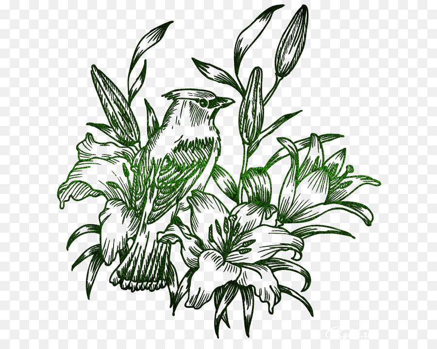 Birdandflower Pintura，Dibujo PNG