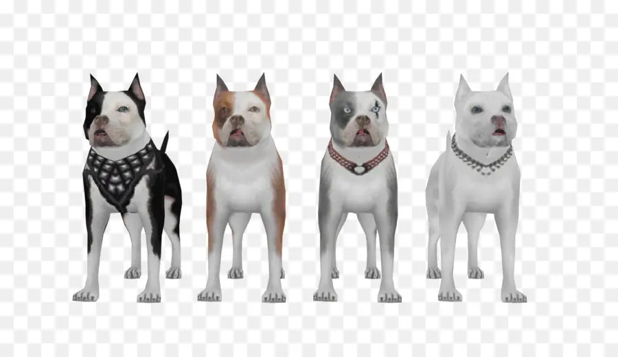 Perros，De Pie PNG