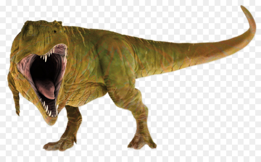 Tyrannosaurus，Arte PNG