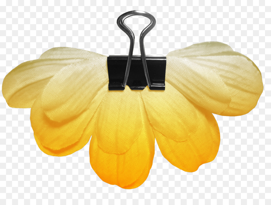 Clip De Carpeta，Flor PNG