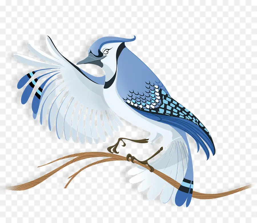 Pájaro，Blue Jay PNG