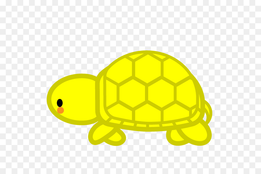 Tortuga，Reptiles PNG