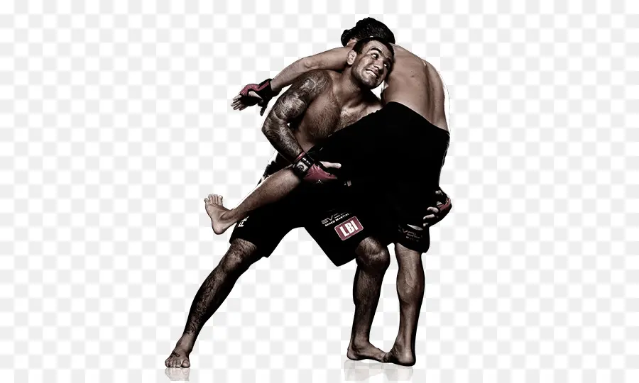 Las Artes Marciales Mixtas，Las Artes Marciales PNG