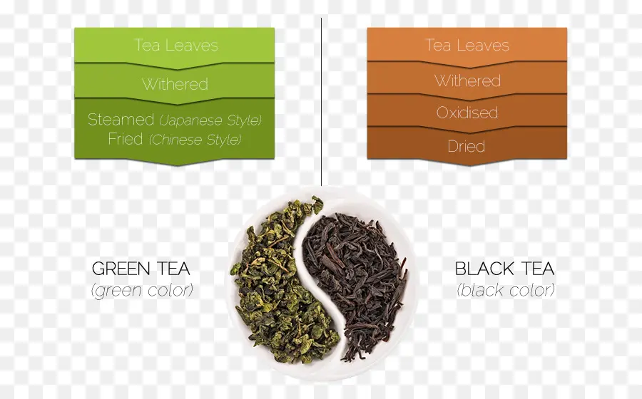 Té Verde Y Negro，Hojas De Té PNG