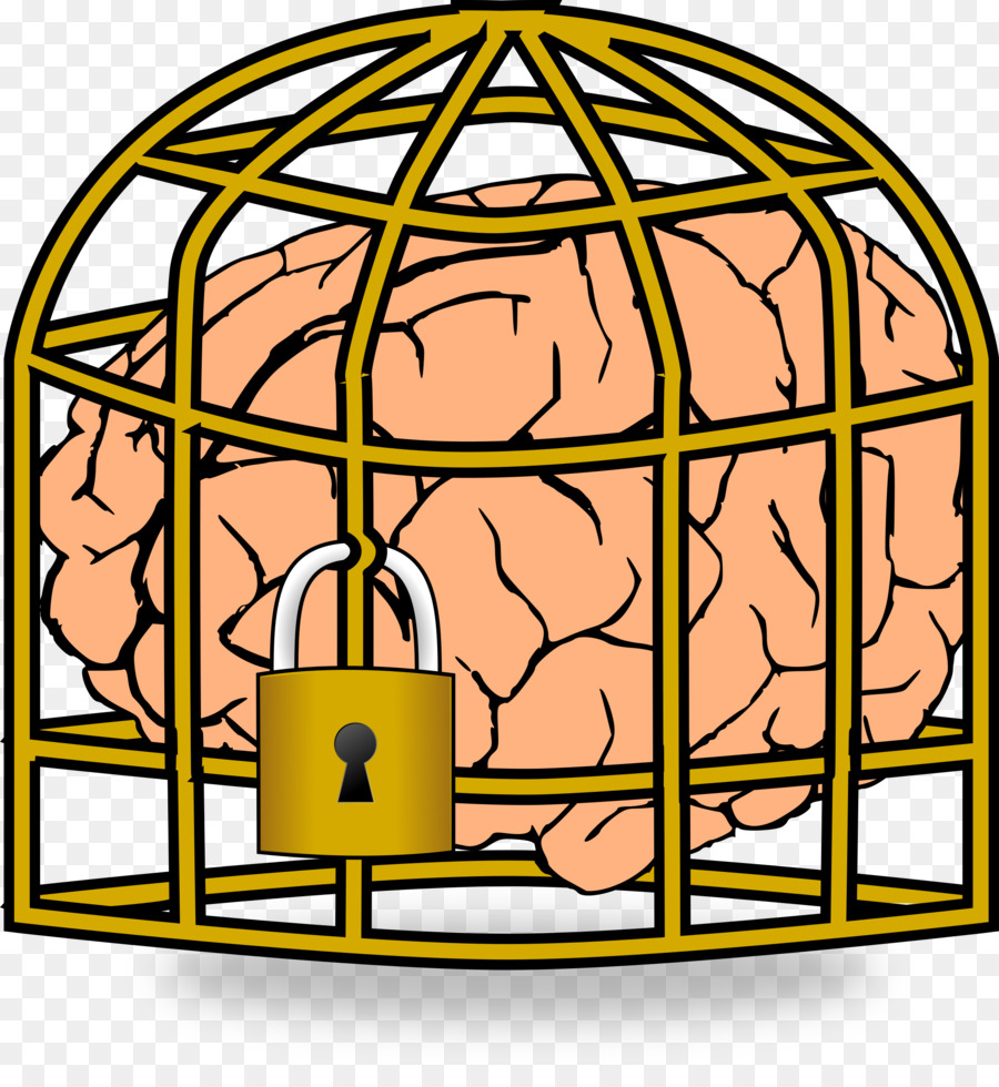 Cerebro，Entrenamiento Cognitivo PNG