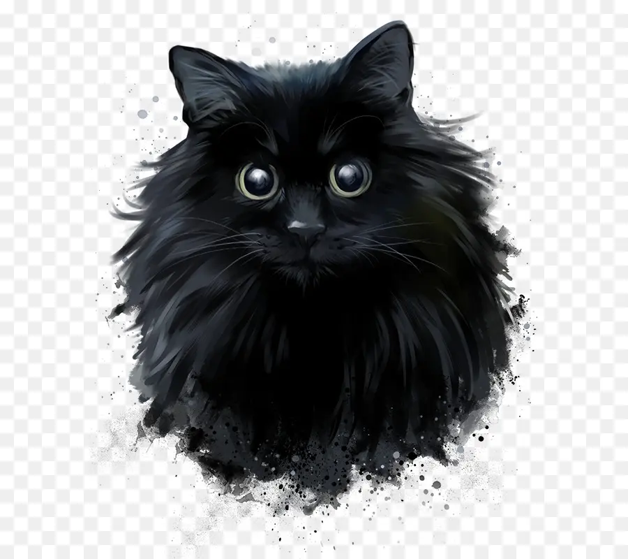 Gato Persa，Gato Negro PNG