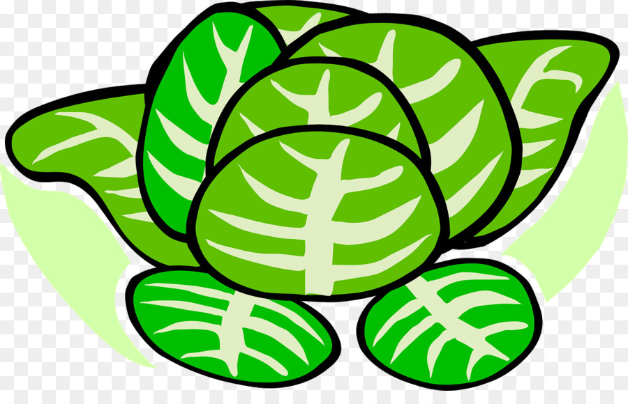 Vegetal，Ensalada PNG