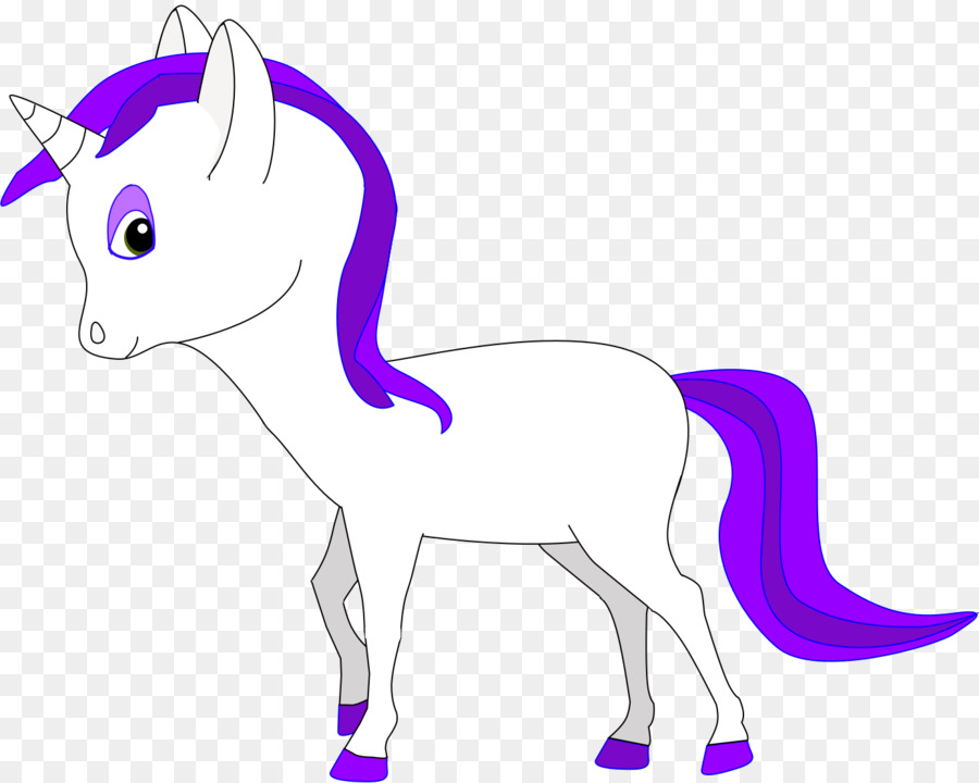 Caballo，Pony PNG