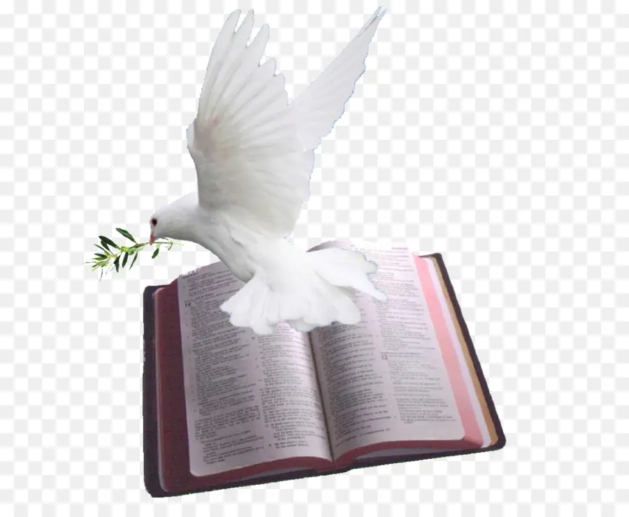 Paloma Y Biblia，Paz PNG