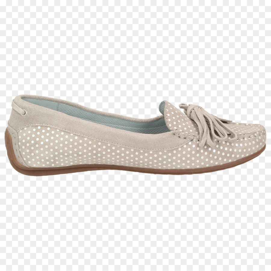 Zapatilla，Zapato PNG