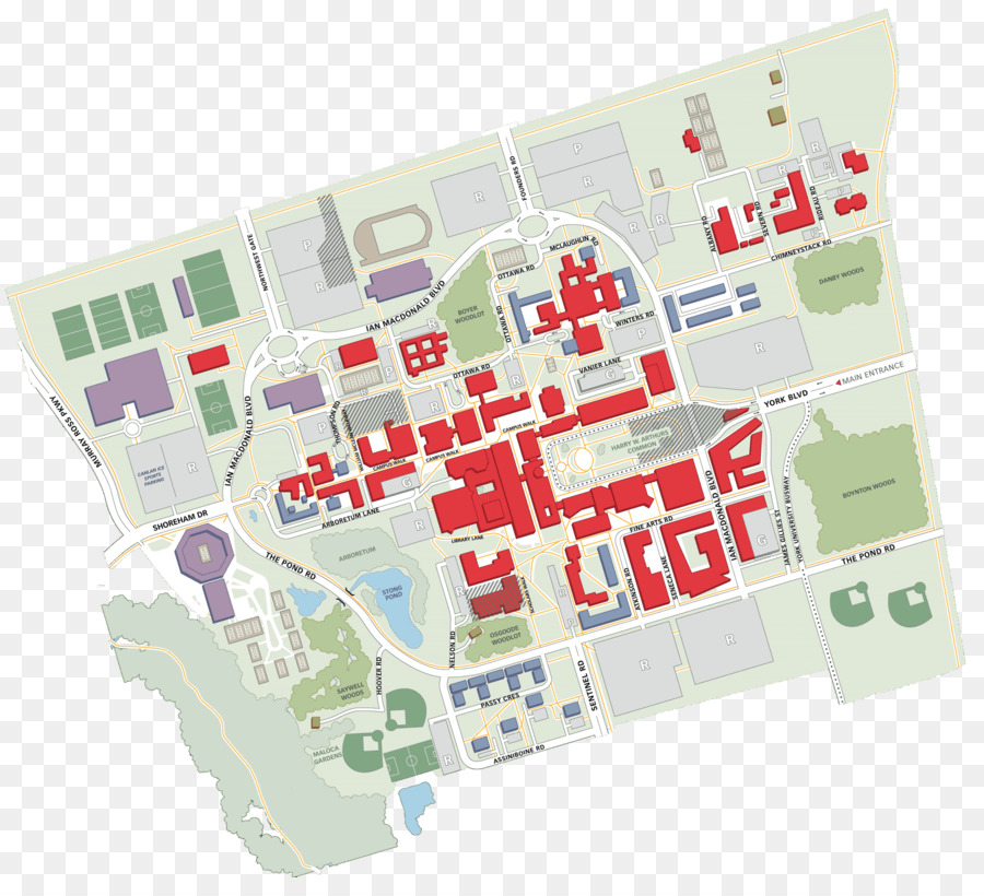 Mapa Del Campus，Universidad PNG