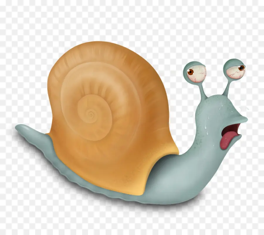 Caracol，Gasterópodos PNG