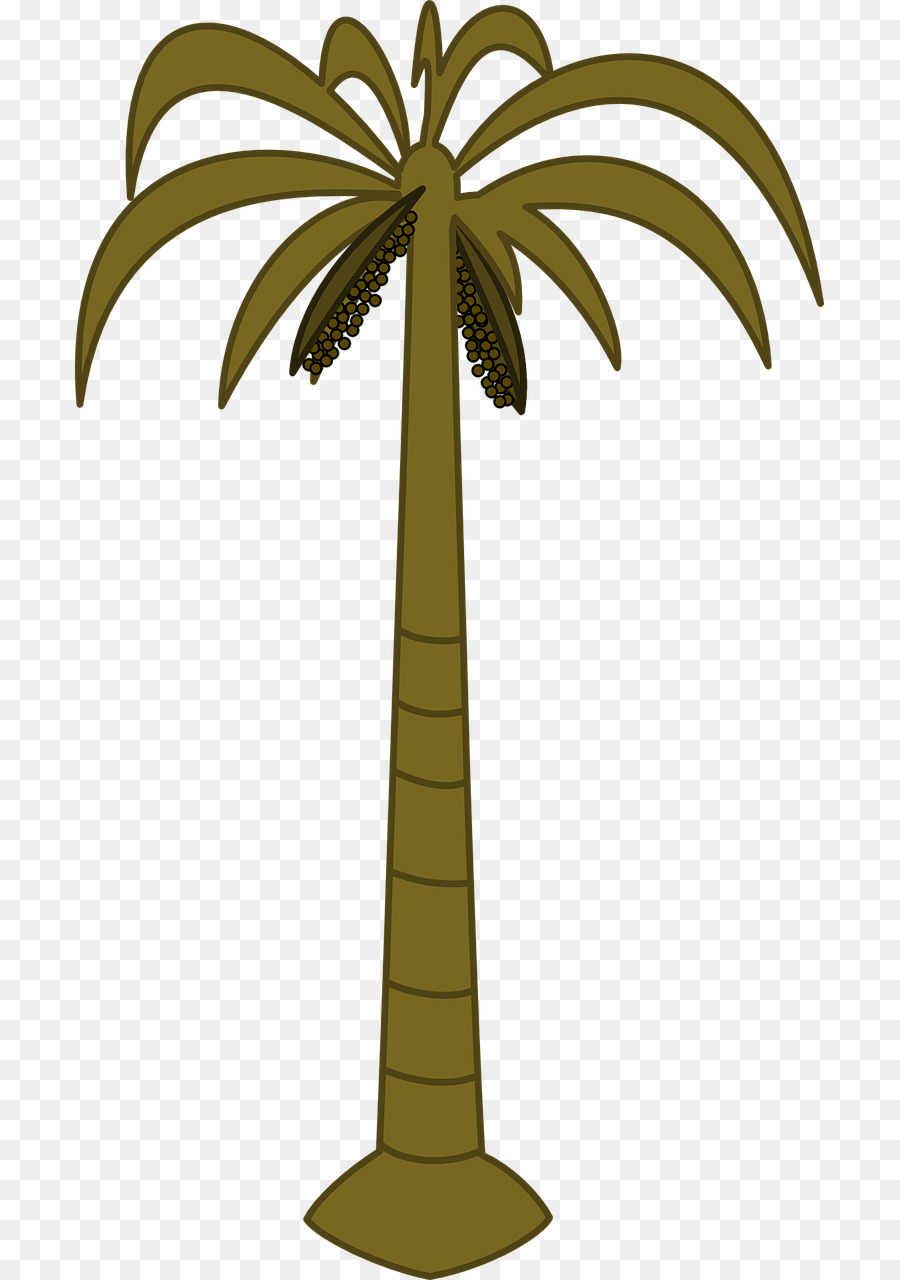 Palmera，Tropical PNG