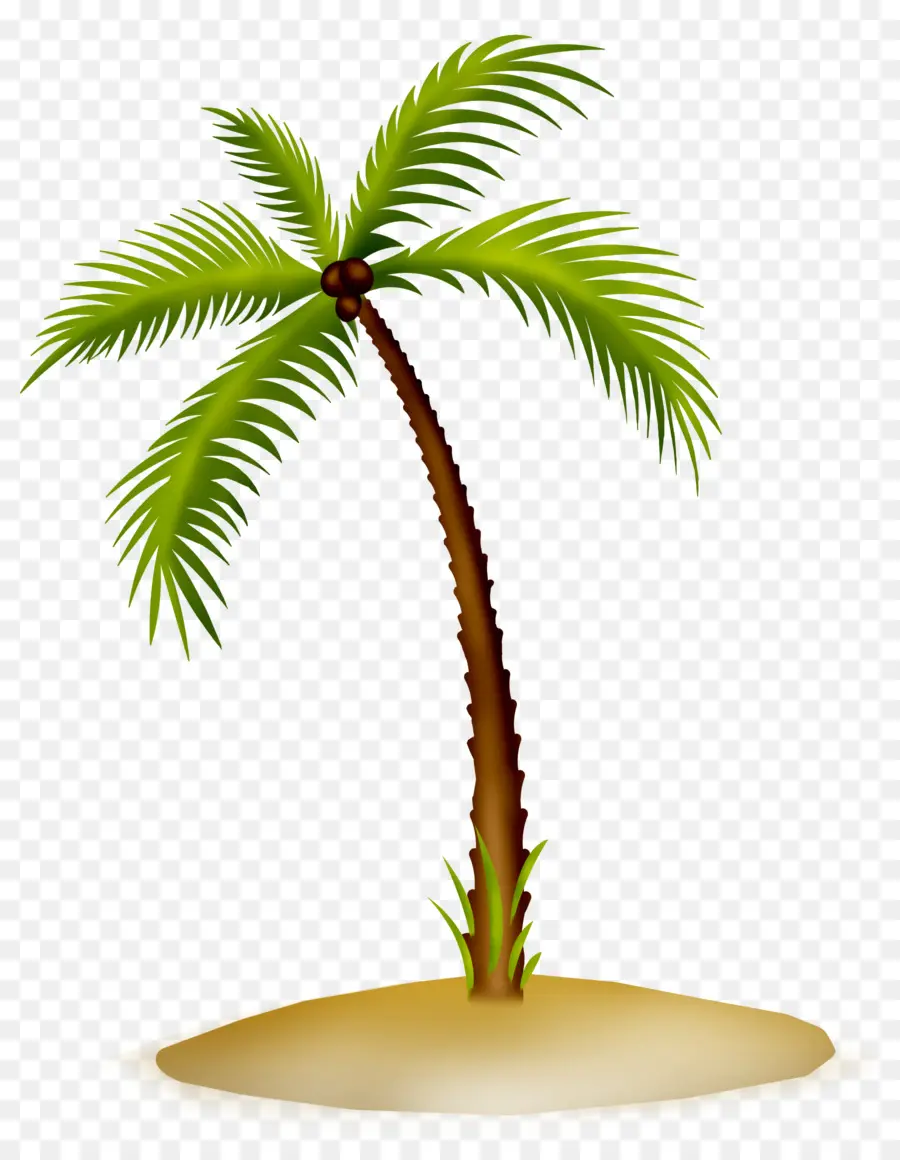Arecaceae，Asiático Palmira Palma PNG
