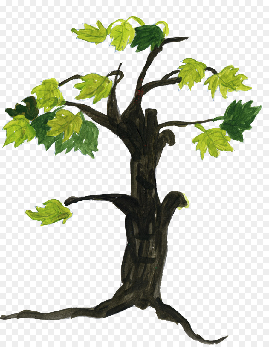 Dibujo De árbol，Bosquejo PNG