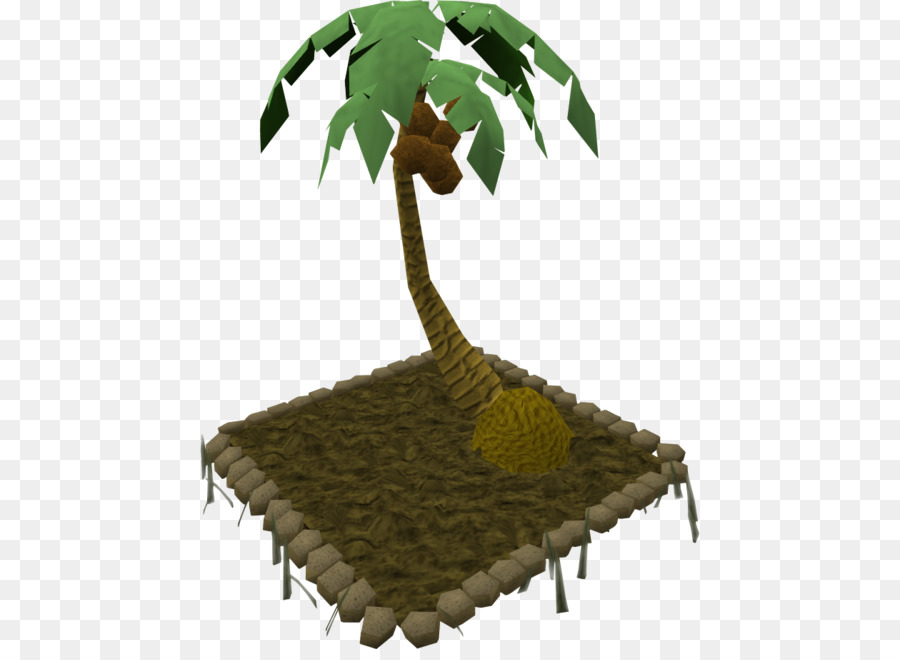 árbol，Organismo PNG