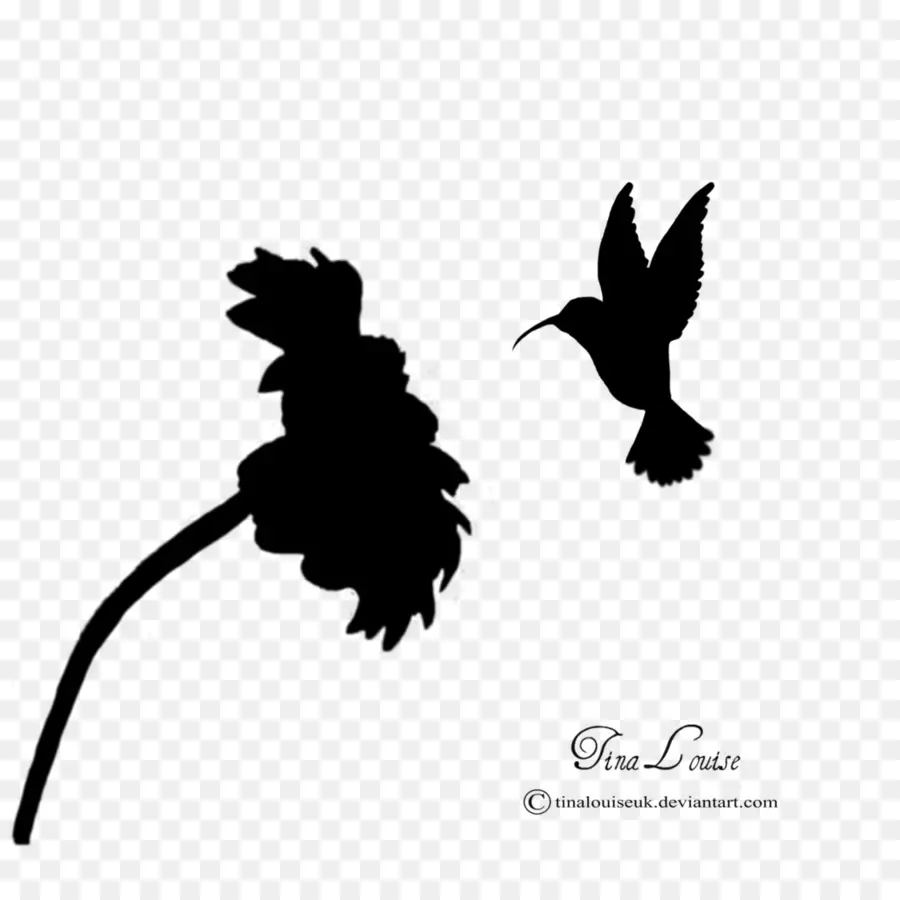 Flor Y Colibrí，Naturaleza PNG