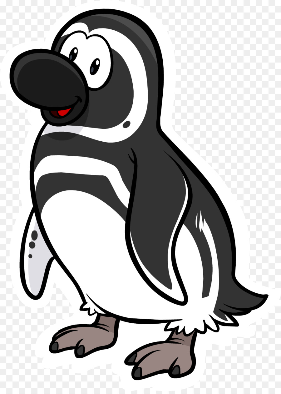 Penguin，Pingüino De Magallanes PNG