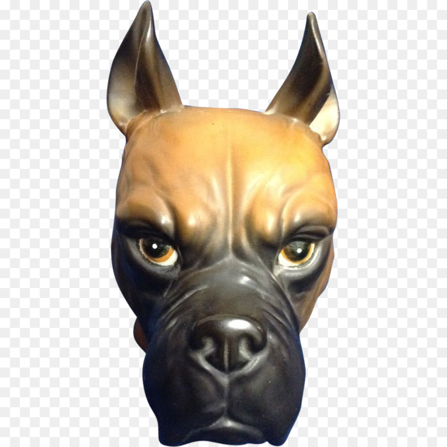 Boxer，Florero PNG