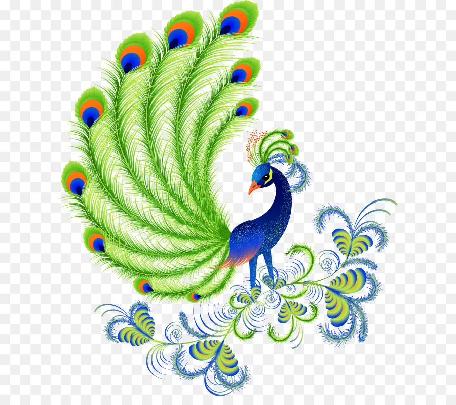 Pavo Real，Plumas PNG