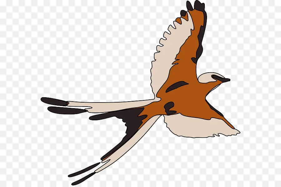 Pájaro，Las Aves En Vuelo PNG