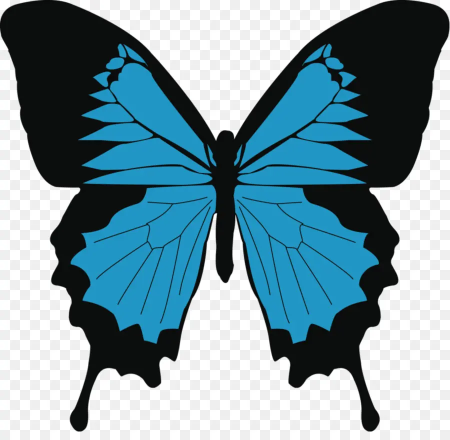 Mariposa，Papilio Ulysses PNG