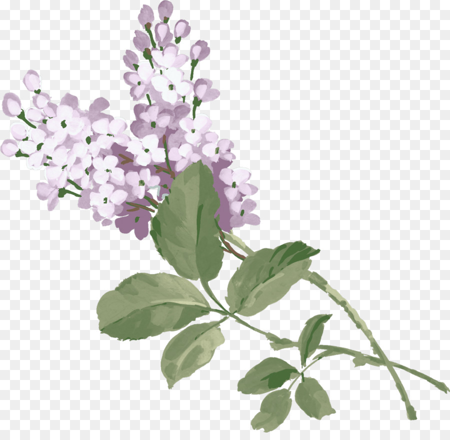 Flores Moradas，Florecer PNG