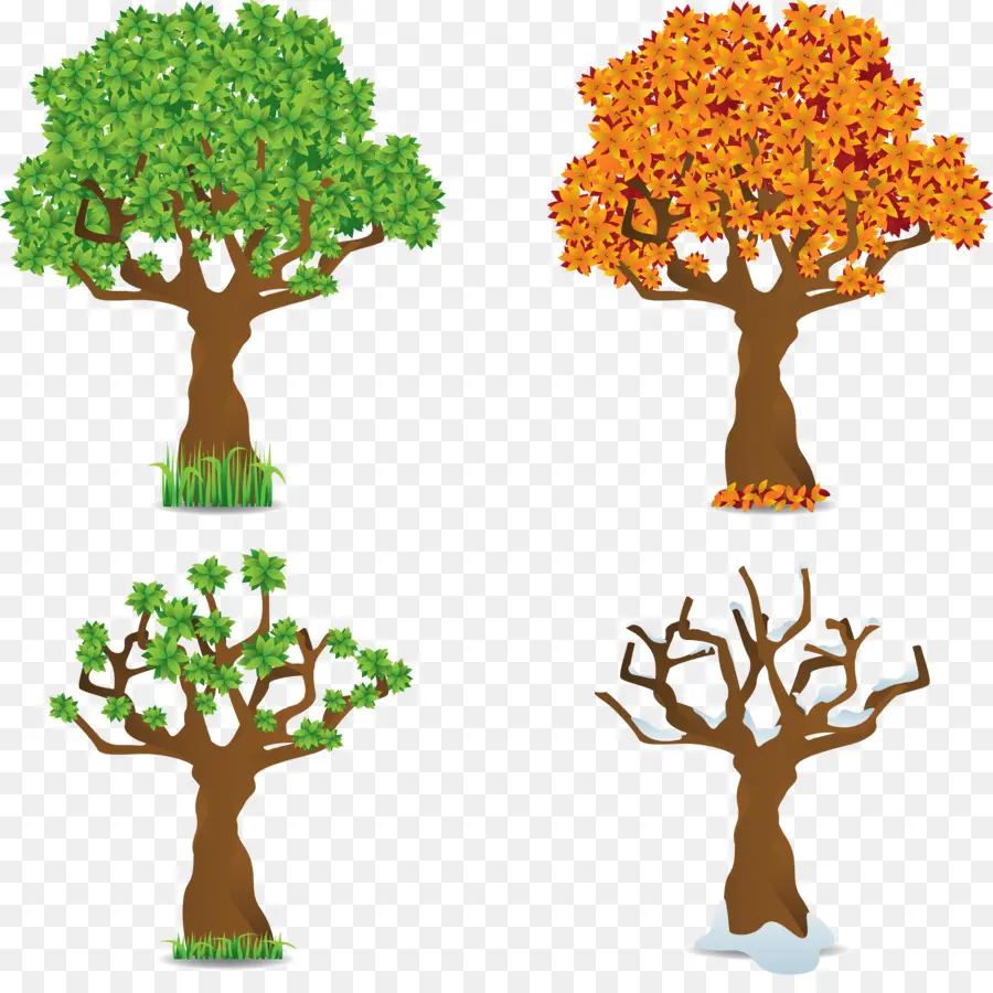 Temporada，árbol PNG