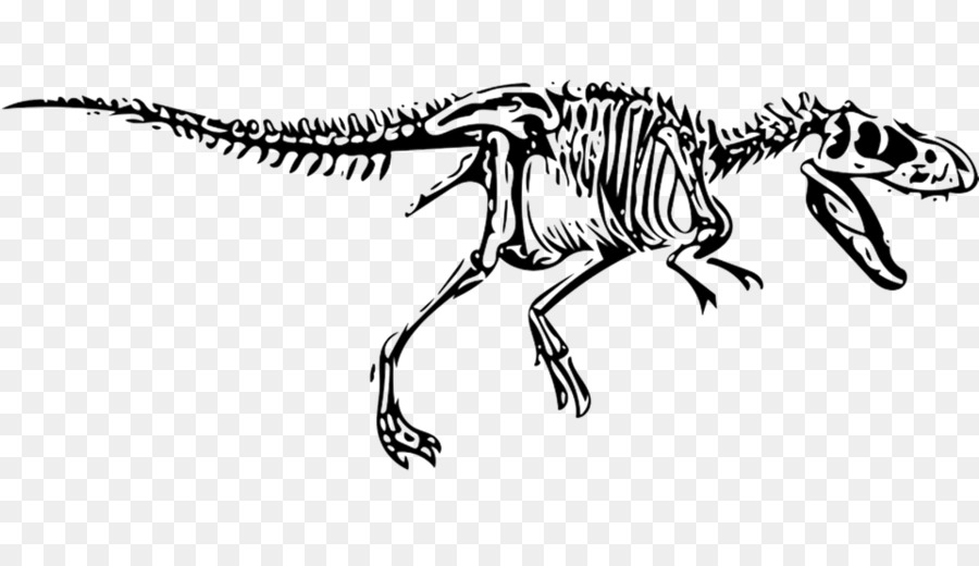 Tyrannosaurus，Velociraptor PNG