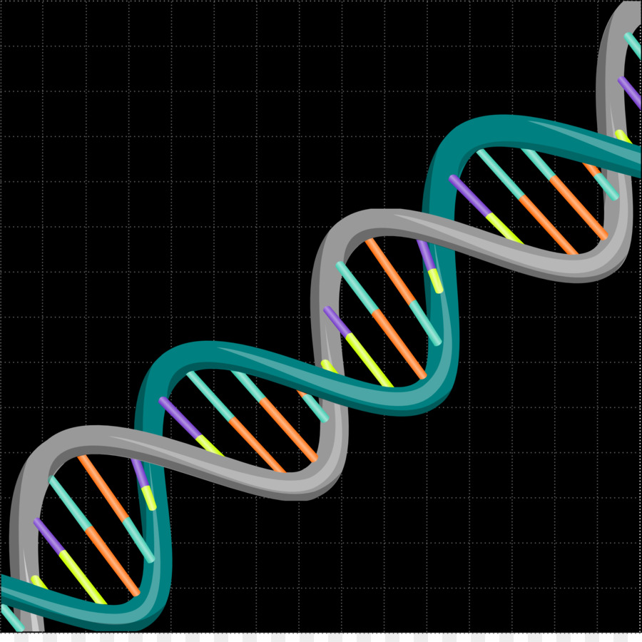 Doble Hélice De Una Cuenta Personal Del Descubrimiento De La Estructura Del Adn，Adn PNG