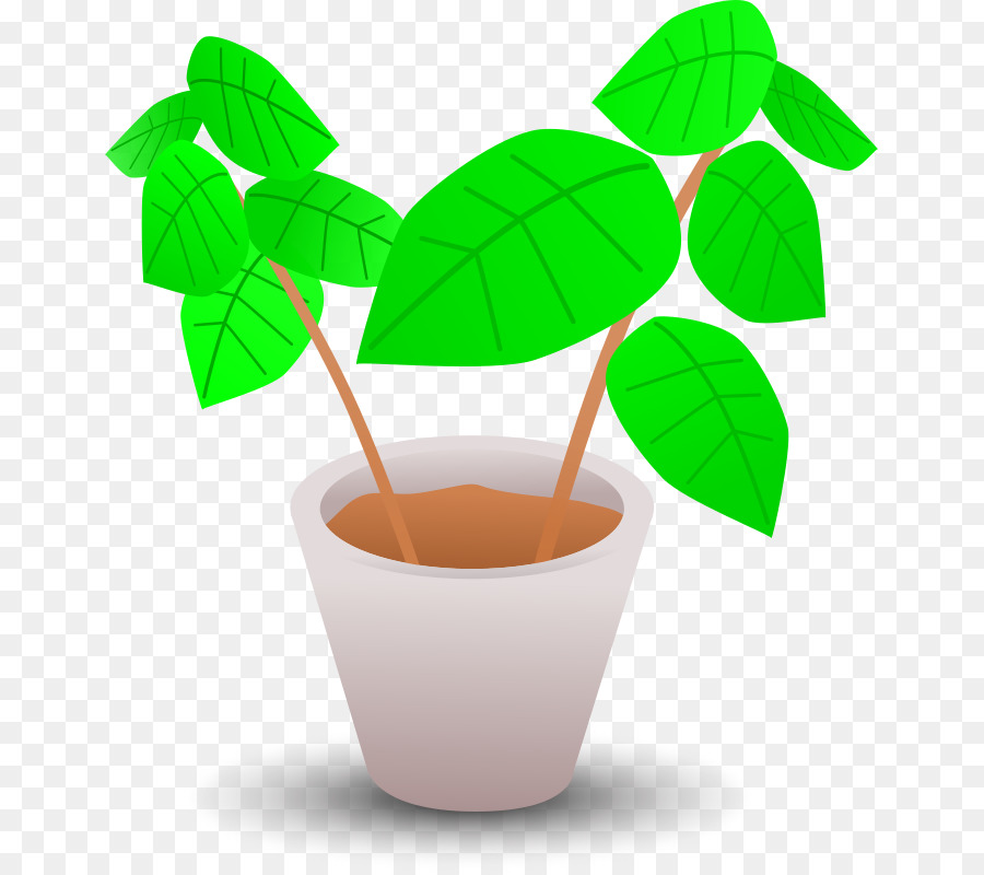 Maceta，Planta PNG