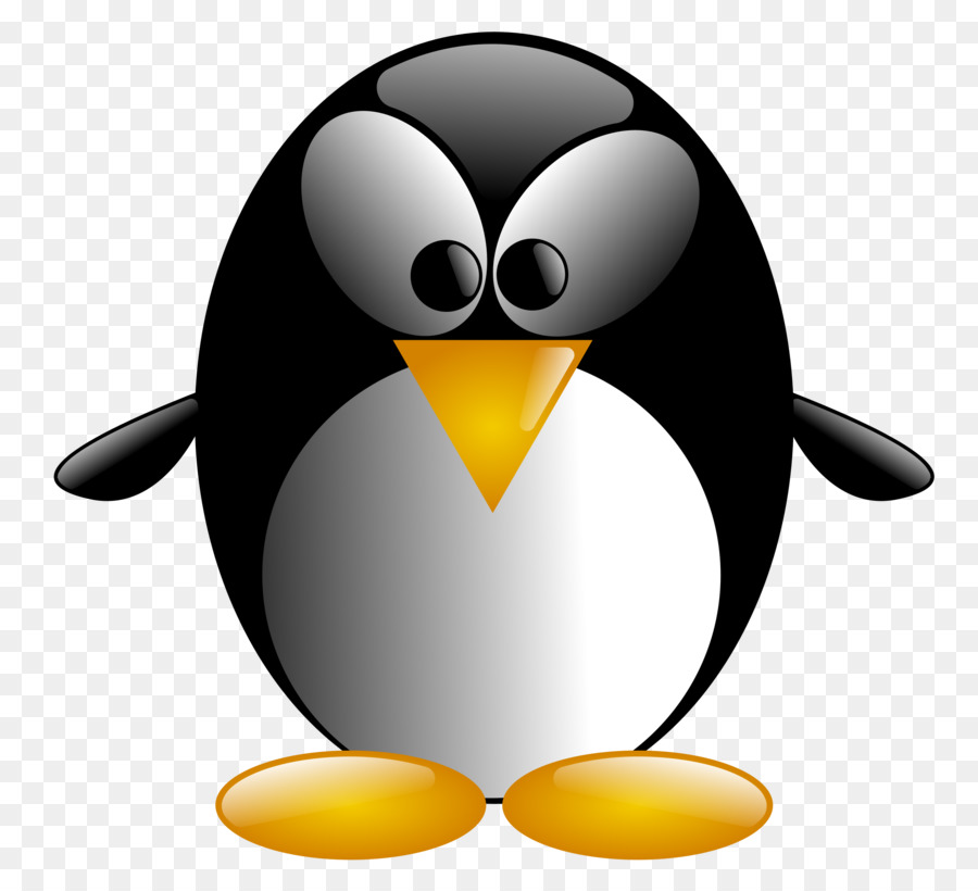 Penguin，Pájaro PNG