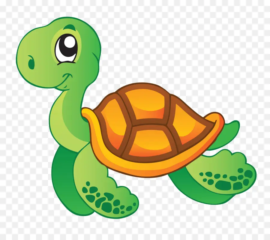 Tortuga，De Los Animales Acuáticos PNG