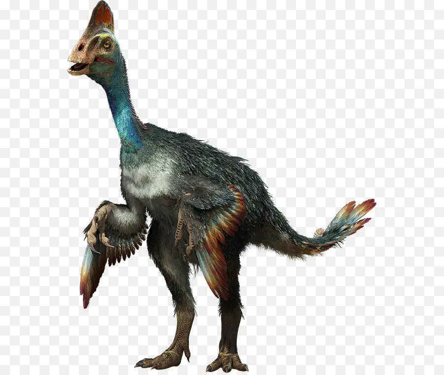 Chirostenotes，Parksosaurus PNG