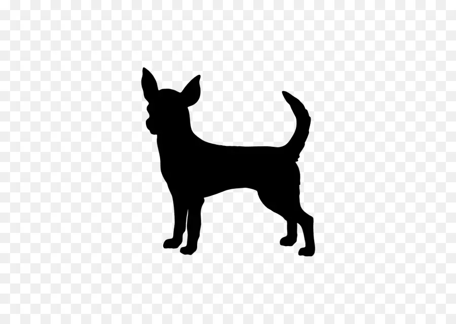 Silueta Chihuahua，Perro PNG