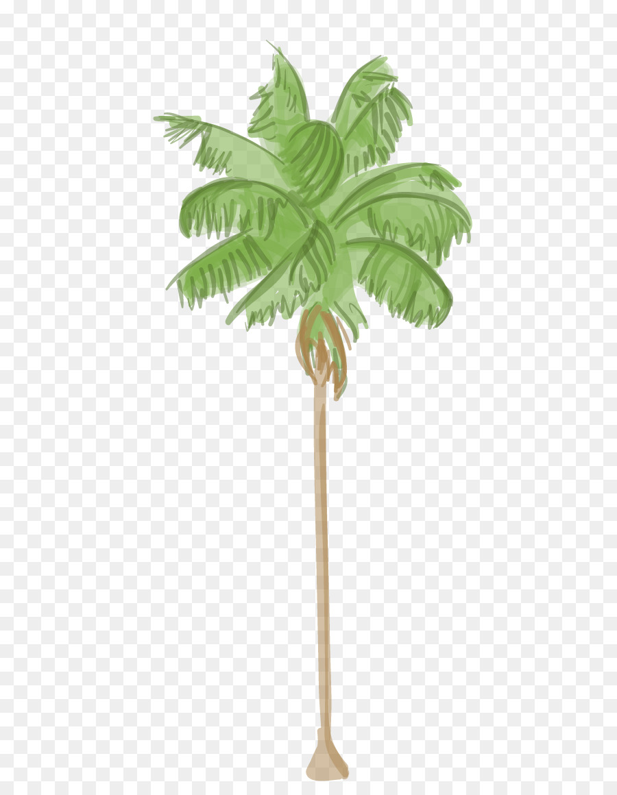 Arecaceae，árbol PNG