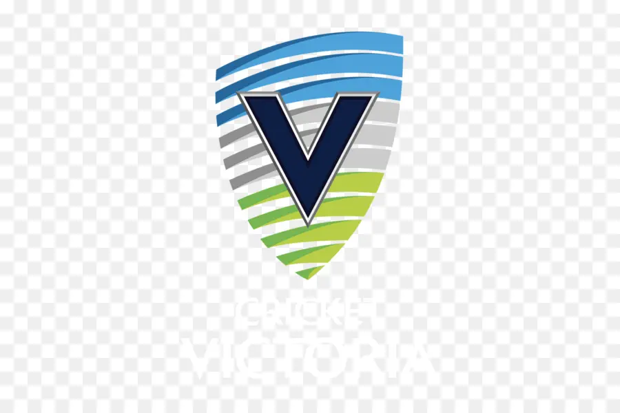 Logotipo V，Marca PNG