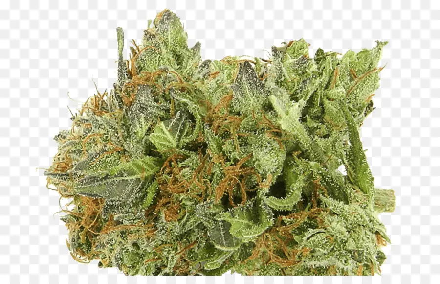 El Cannabis，Kush PNG