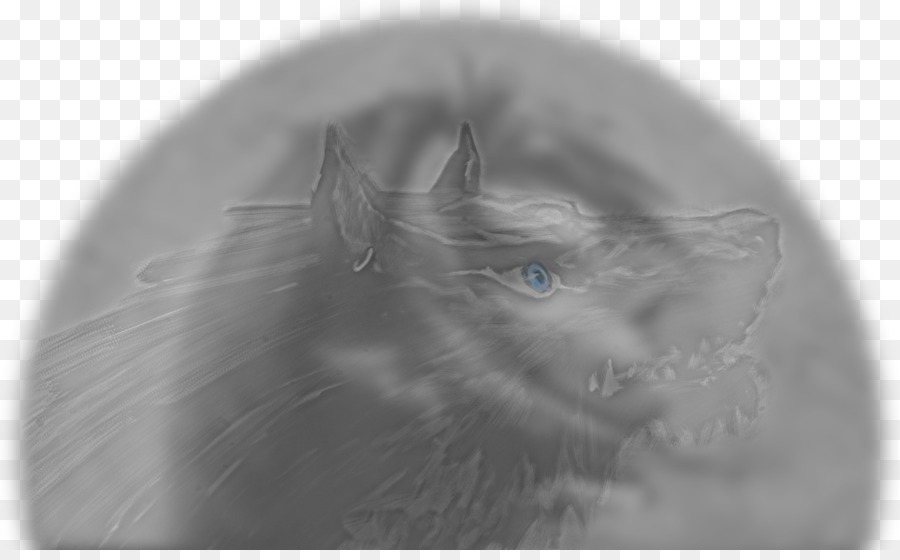 Lobo，Fantasmal PNG