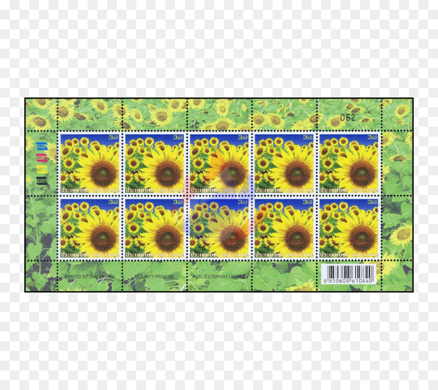 Común De Girasol，Sellos De Correos PNG