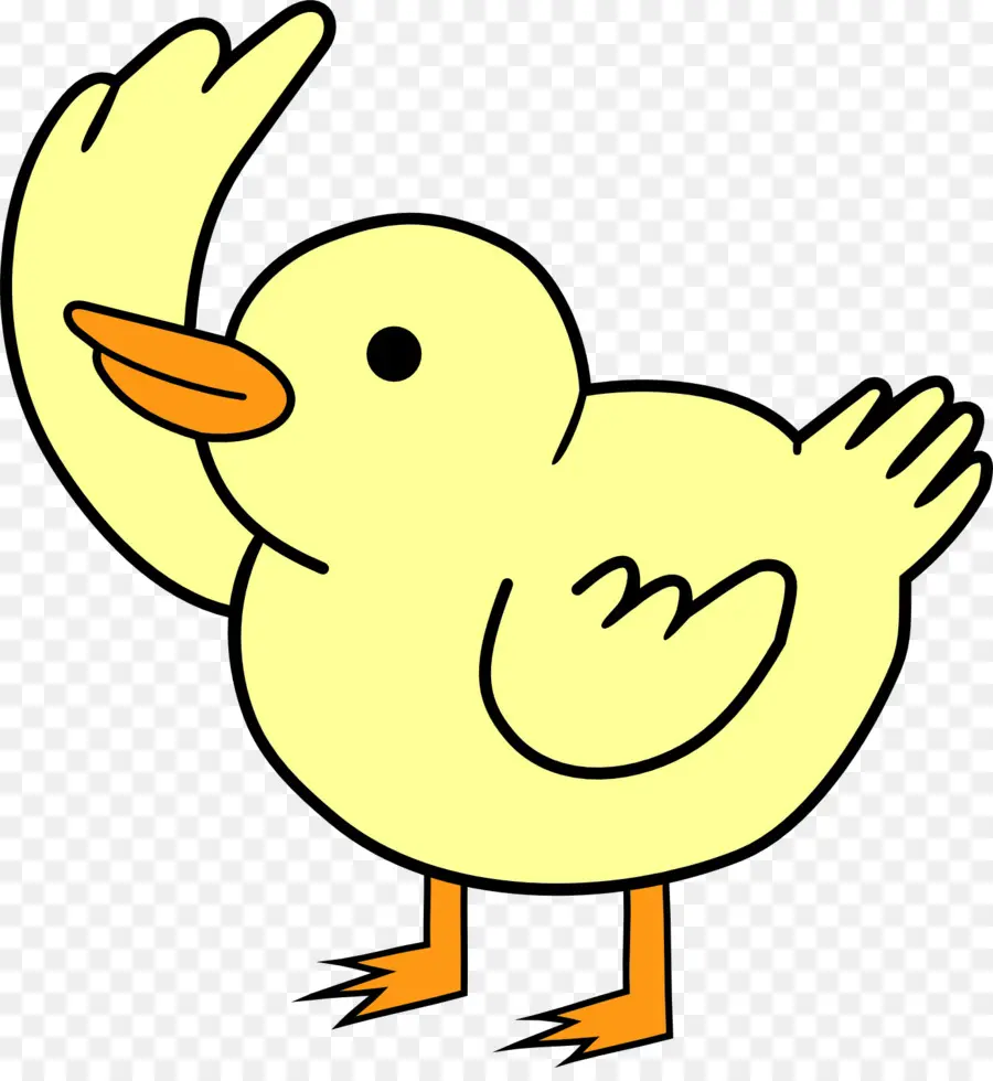 Grupo De Patos Bebés，Pato PNG