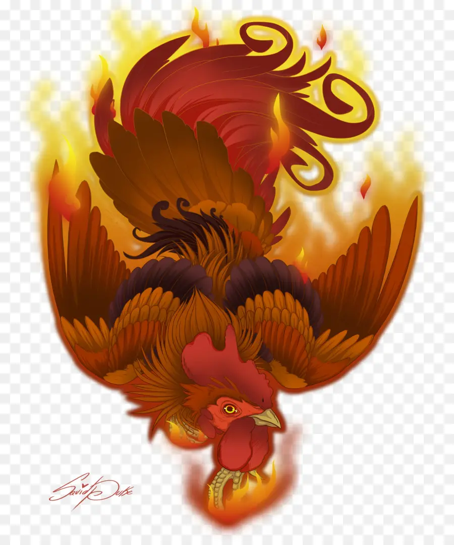 Fénix，Fuego PNG