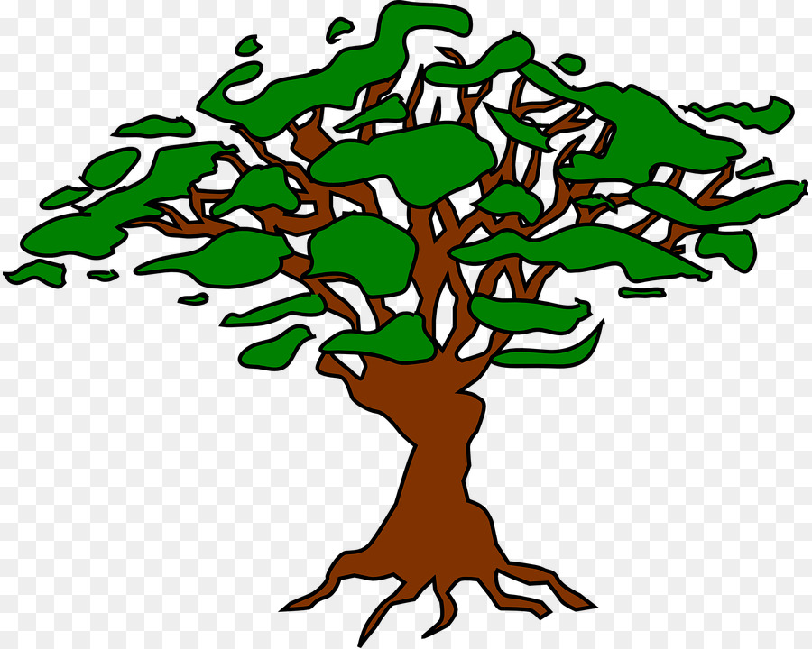 árbol，Raíz PNG