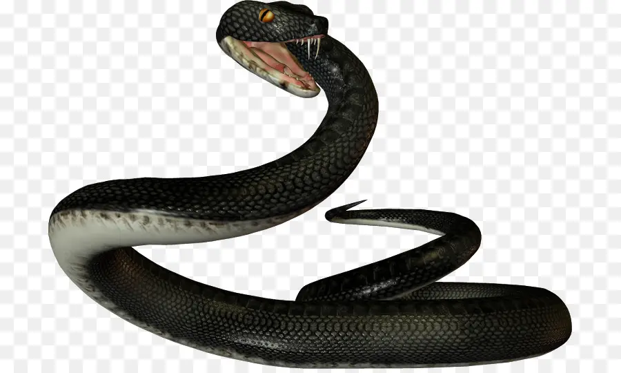 La Serpiente，Reptiles PNG