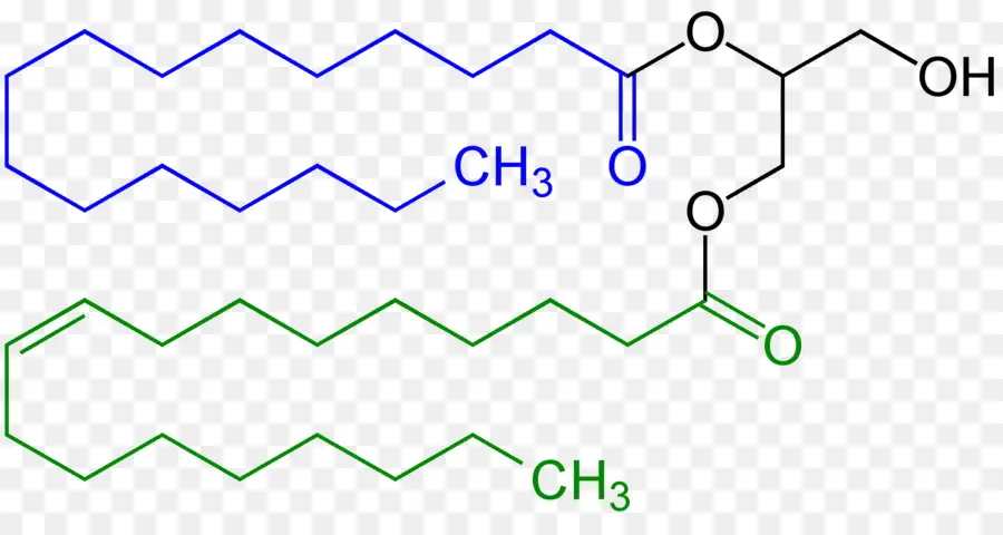 Mono Y Diglicéridos De Los ácidos Grasos，Diglicérido PNG