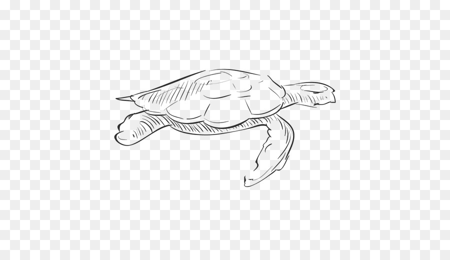 Tortuga，Bosquejo PNG