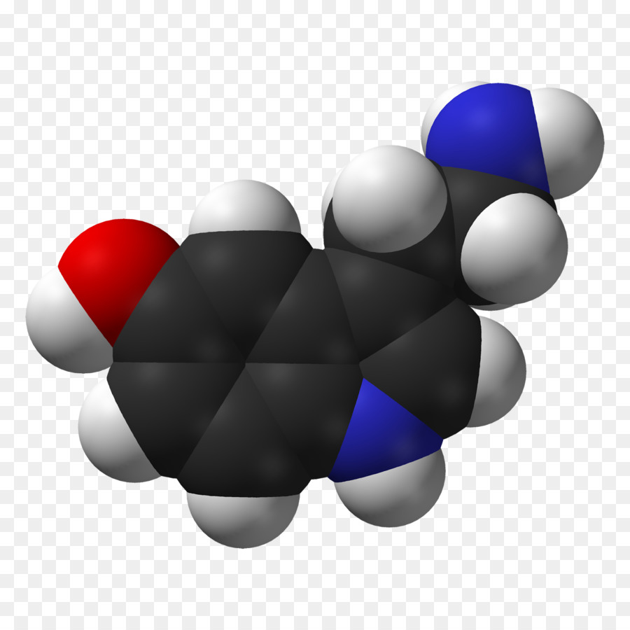 La Serotonina，Sistema Nervioso Entérico PNG